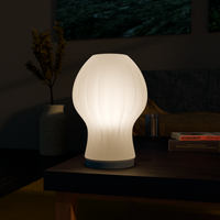 Aurora Lampshade