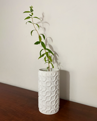 Seamless Adaptive Lamp used as a vase
