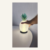Pineapple Lamp