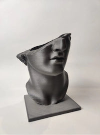 Venus Elegance Sculptural Vase