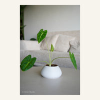 ZenRock Planter
