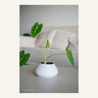 ZenRock Planter