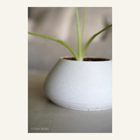 ZenRock Planter