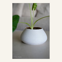 ZenRock Planter
