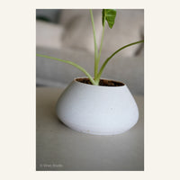 ZenRock Planter