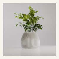 Hikari Planter Set