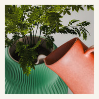 Hikari Planter Set