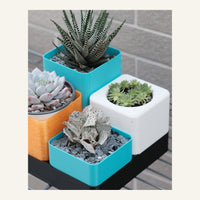 TerraFlora Tiered Planter System