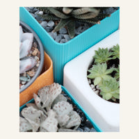 TerraFlora Tiered Planter System