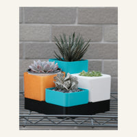 TerraFlora Tiered Planter System