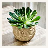 Dolce Indoor Planter