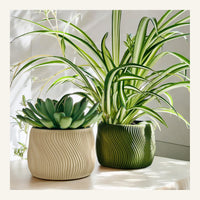Dolce Indoor Planter