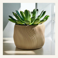 Dolce Indoor Planter