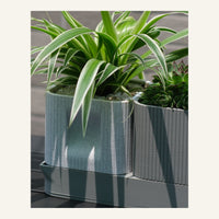 Aura DUO Planter