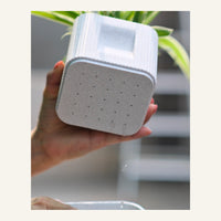Aura Planter