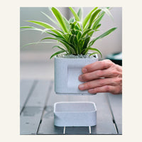 Aura Planter