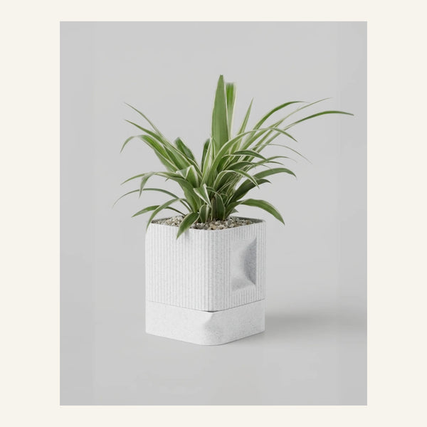 Aura Planter