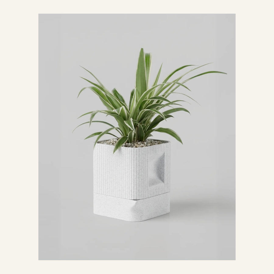 Aura Planter