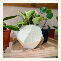 Sofía Planter Pot