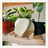 Sofía Planter Pot
