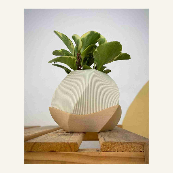 Sofía Planter Pot