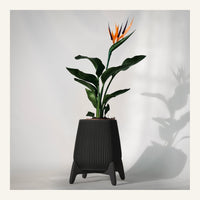 Freya Standing Planter