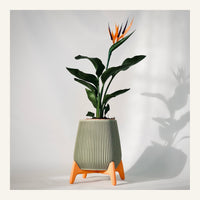 Freya Standing Planter