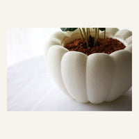 Airy Table Planter