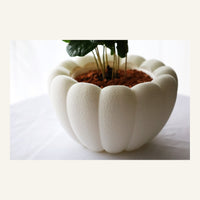 Airy Table Planter
