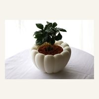 Airy Table Planter