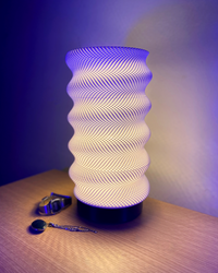 Springy Adaptive Lamp