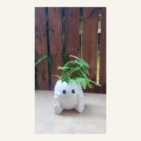 Egg Planter