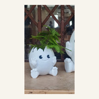 Egg Planter