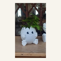 Egg Planter