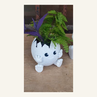Egg Planter