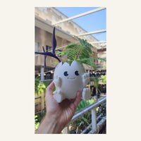 Egg Planter
