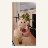 Egg Planter