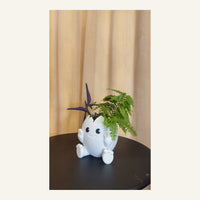 Egg Planter