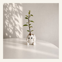 Avocado Egg Planter