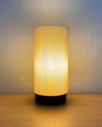 Eva Adaptive Lamp