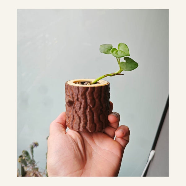 Log Planter