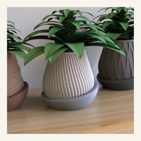 Minimal Planter One