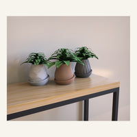 Minimal Planter One