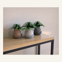 Minimal Planter One