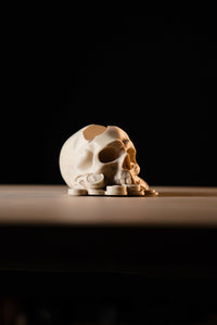 Skull Controller Stand