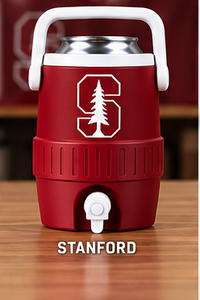 Stanford mini sideline cooler