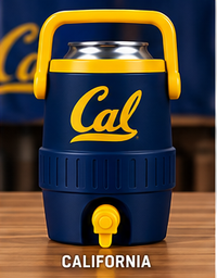 Berkeley mini sideline cooler