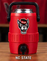 Raleigh mini sideline cooler