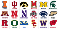 Mini Sideline Cooler Can Holder — Big Ten College Team Colors, Game Day Fan Gift