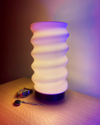 Springy Adaptive Lamp